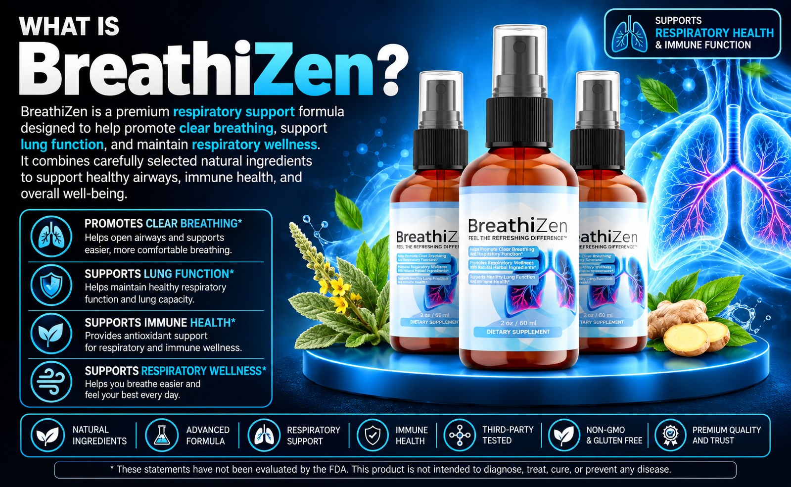 BreathiZen respiratory support